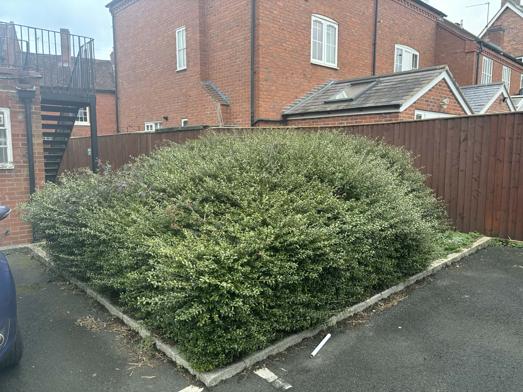 Barnt Green Bespoke Gardens's image