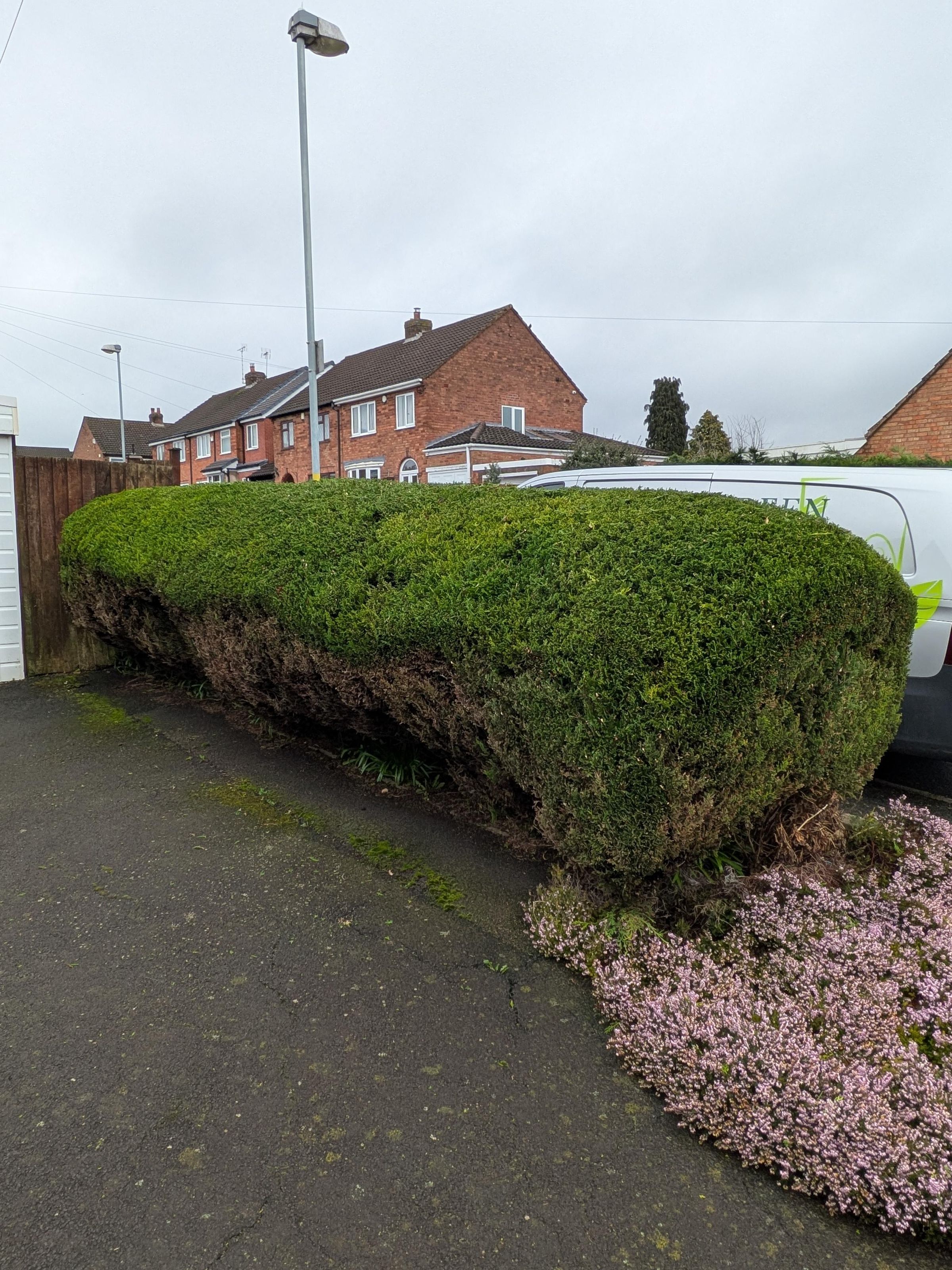 bgbespokegardens.com's image