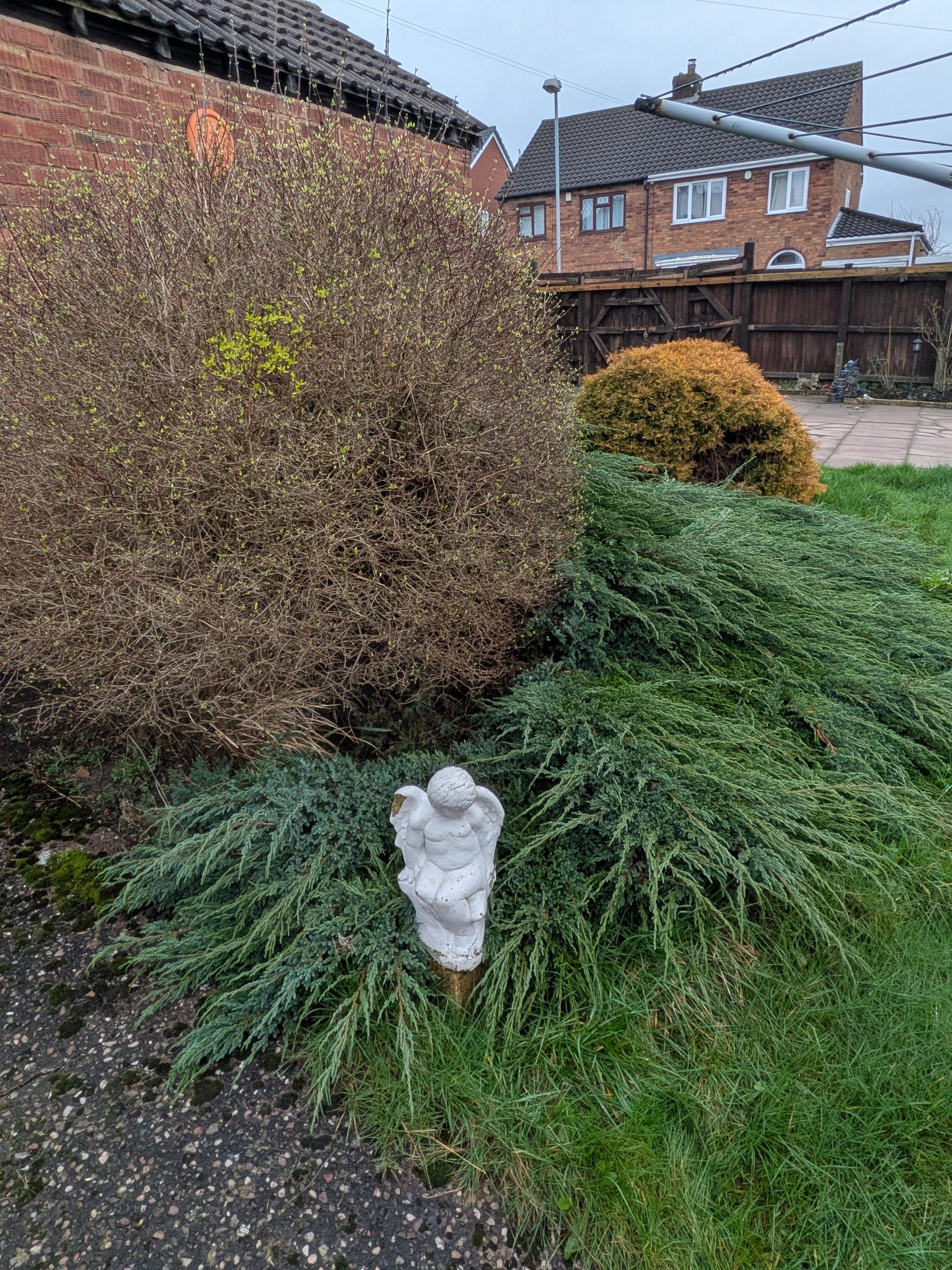 bgbespokegardens.com's image