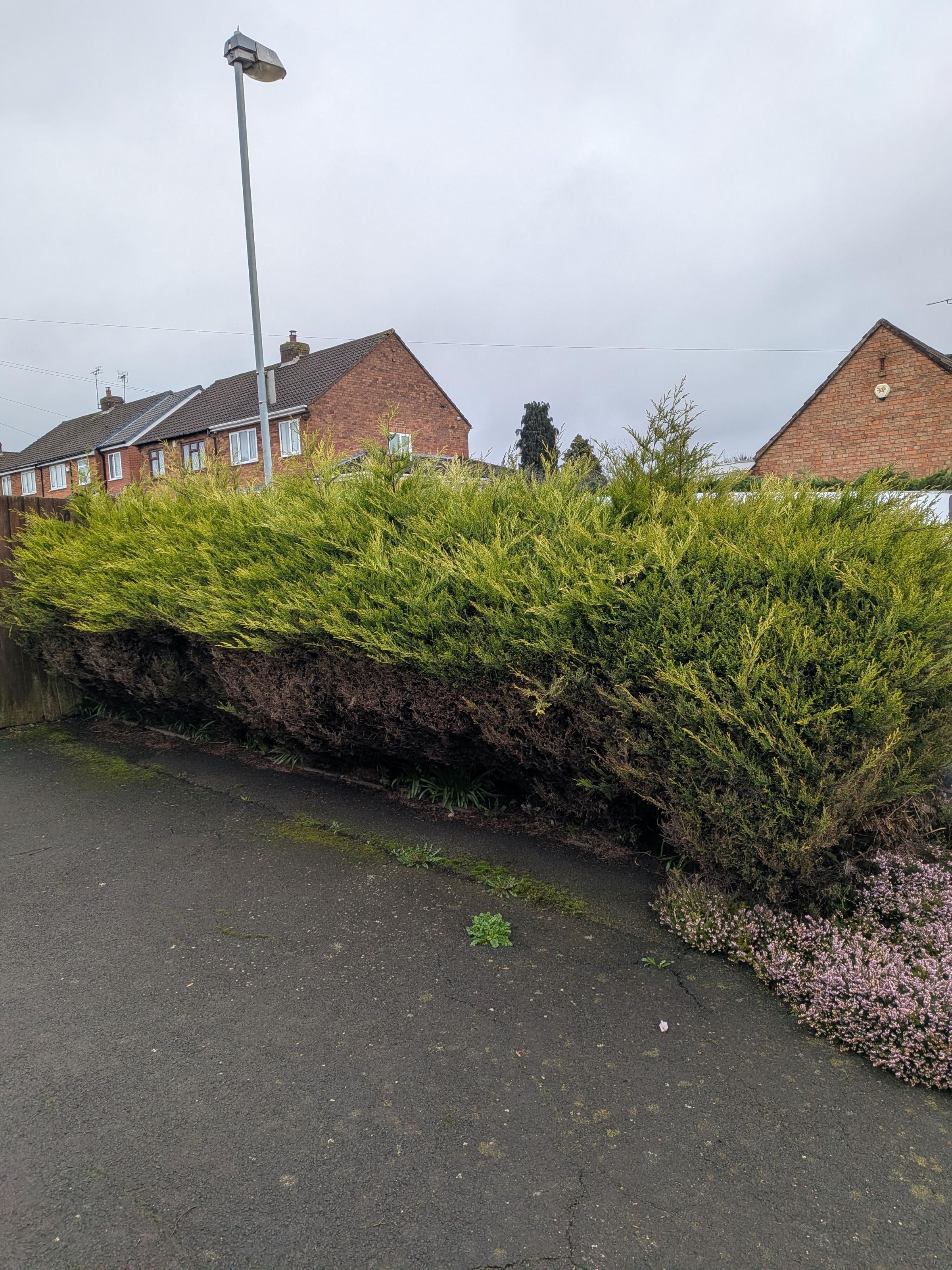 bgbespokegardens.com's image