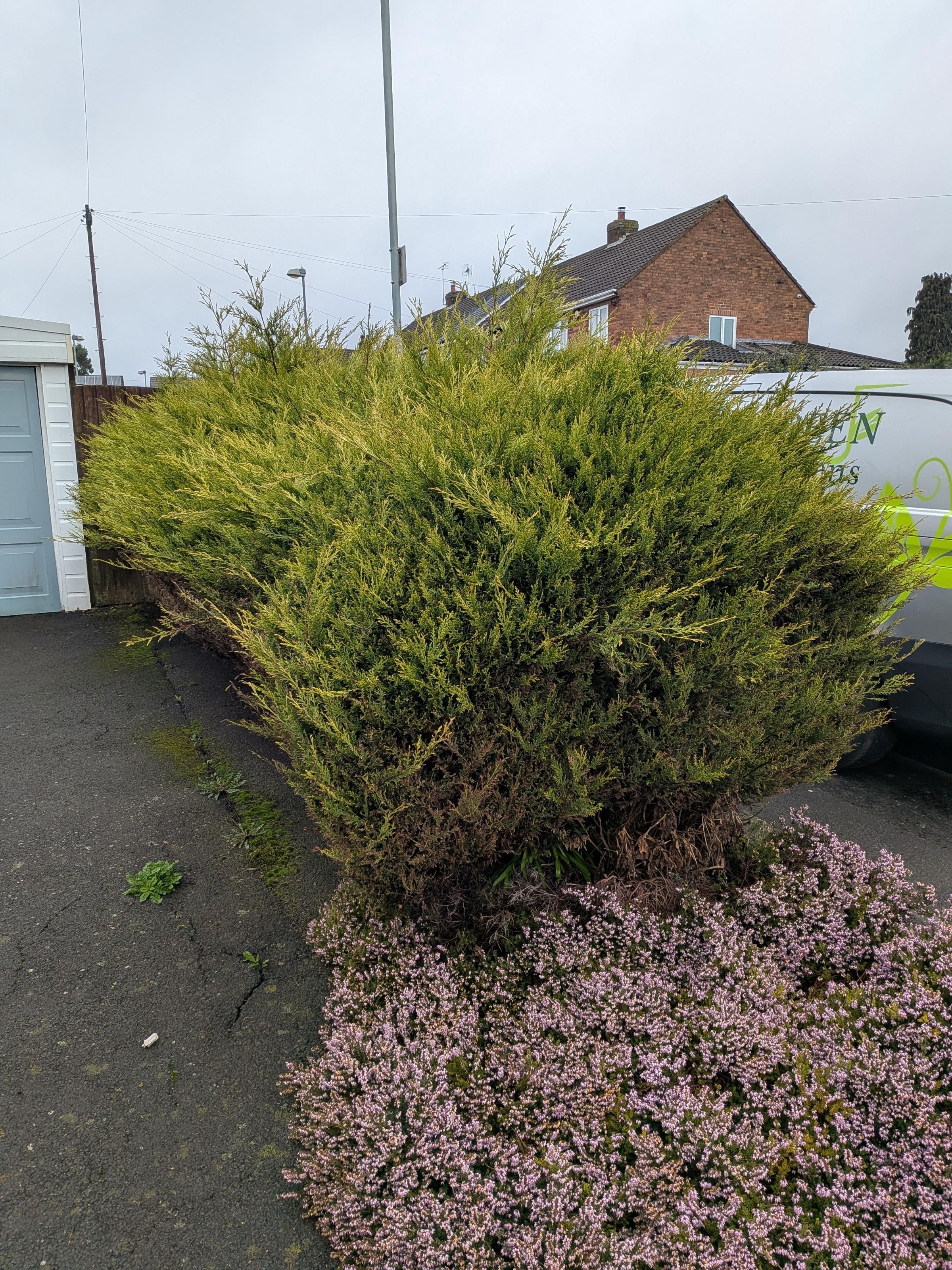 bgbespokegardens.com's image