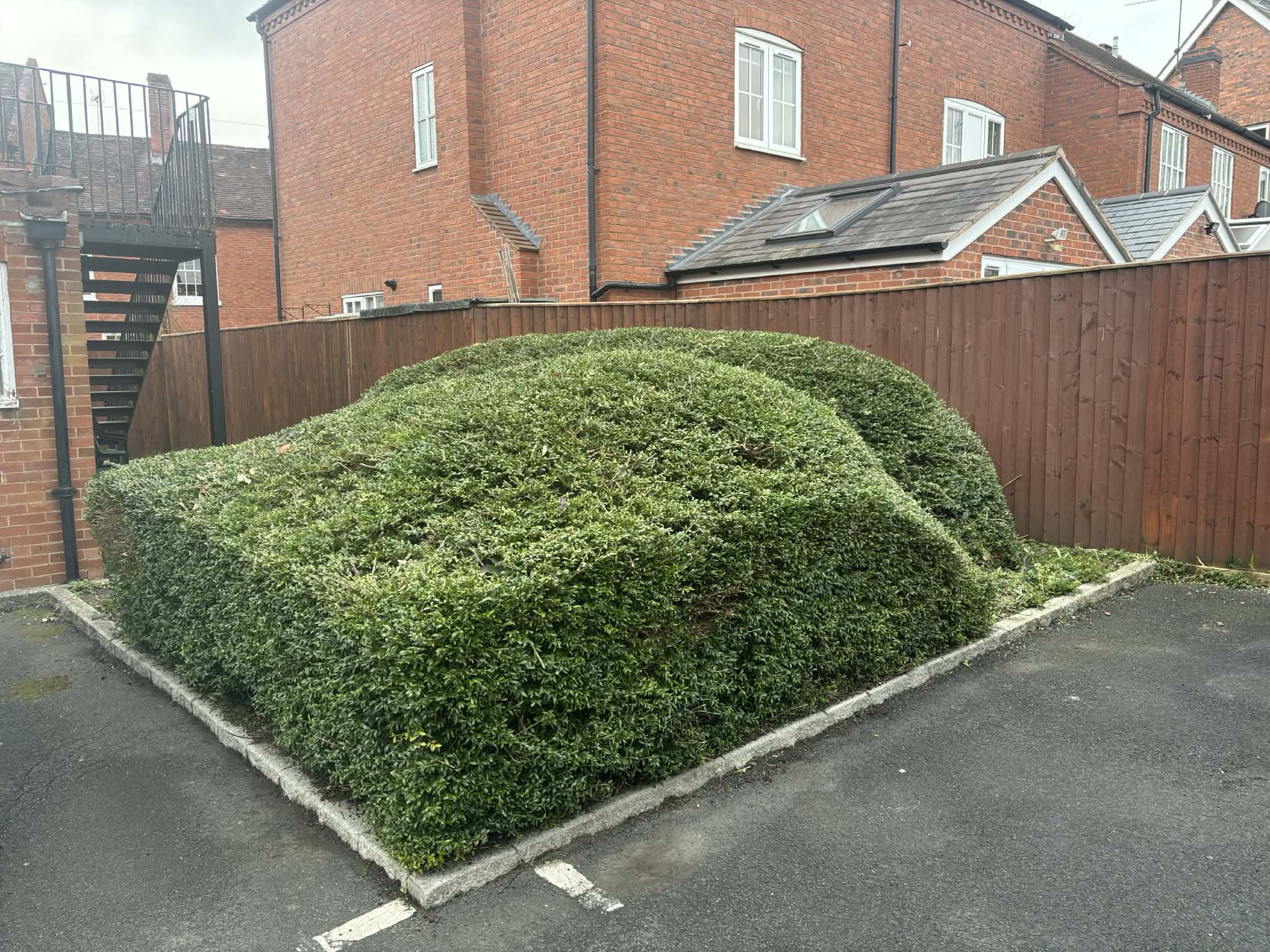 Barnt Green Bespoke Gardens's image