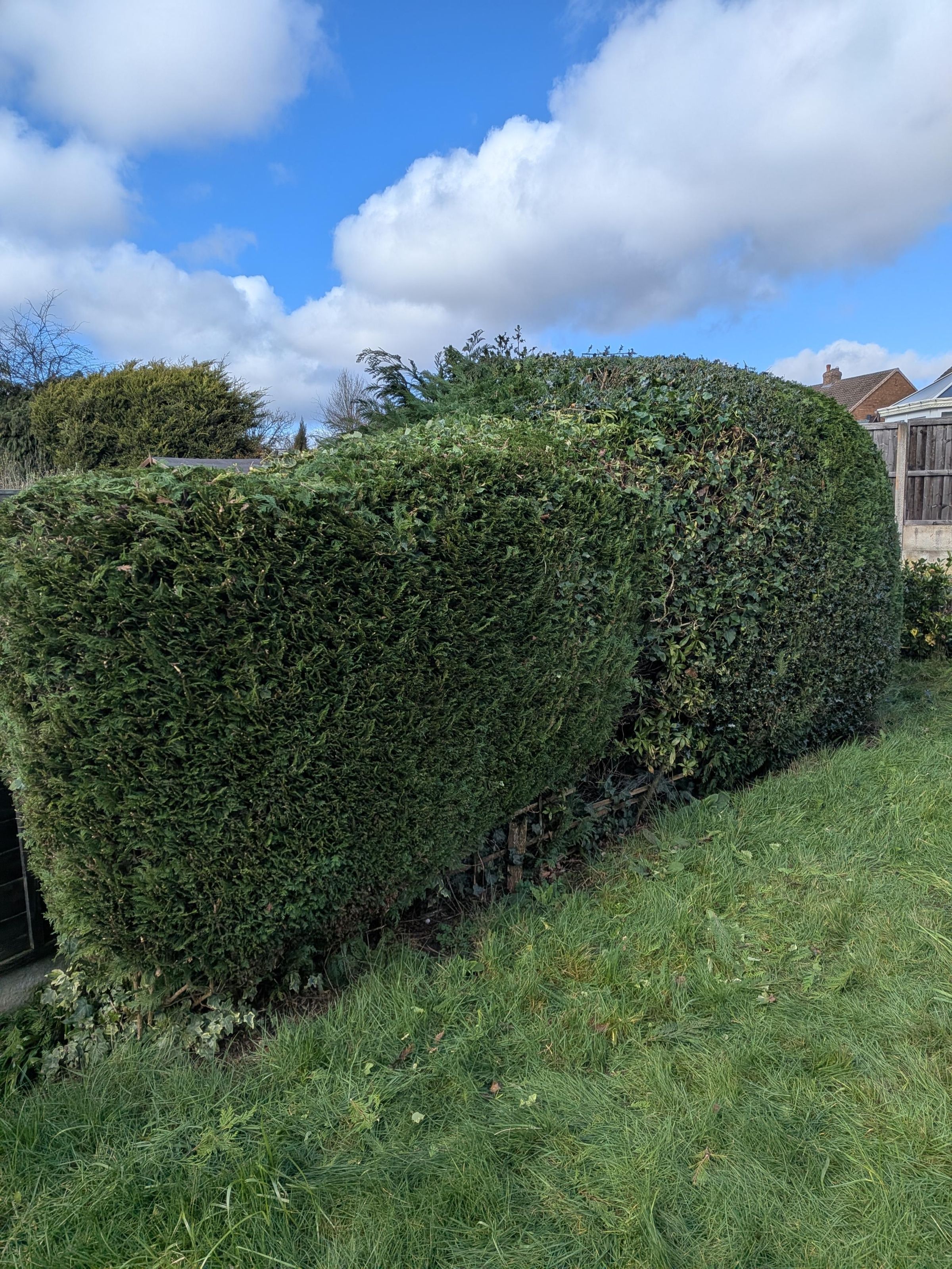 bgbespokegardens.com's image