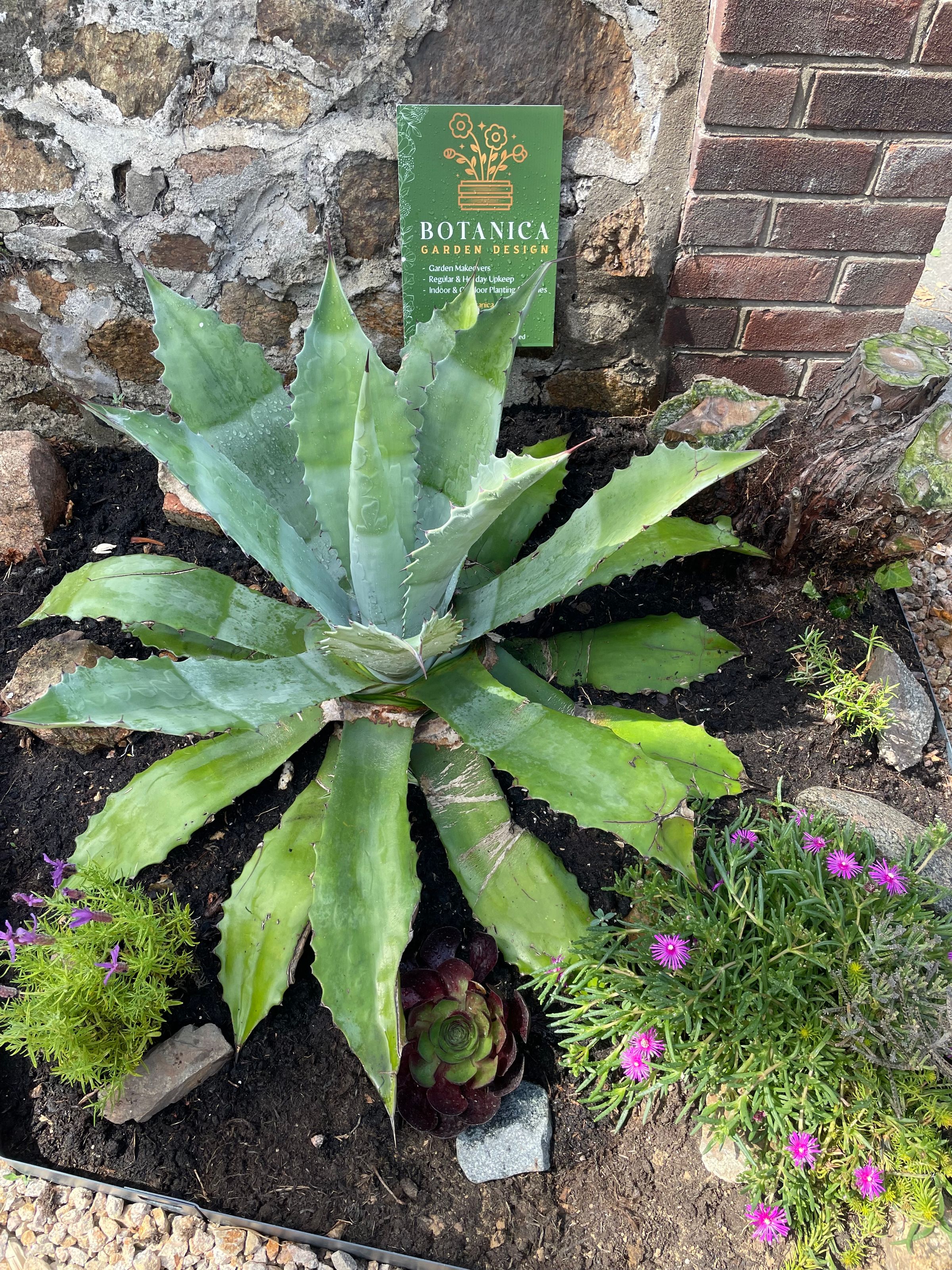 Botanica Garden Design's image