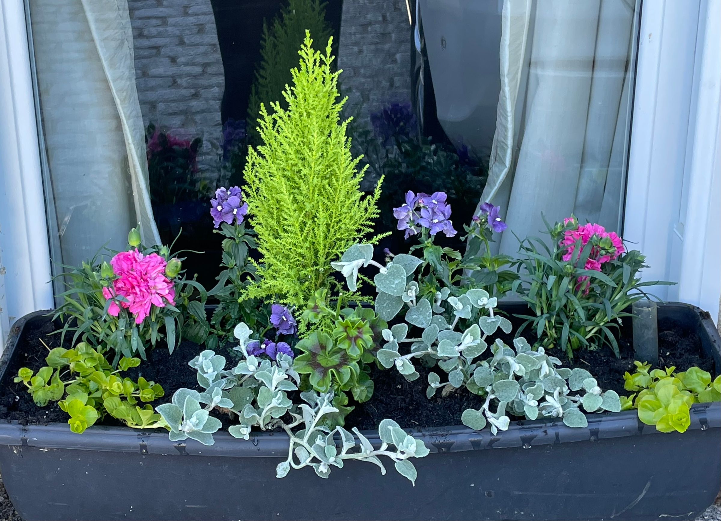 Botanica Garden Design's image
