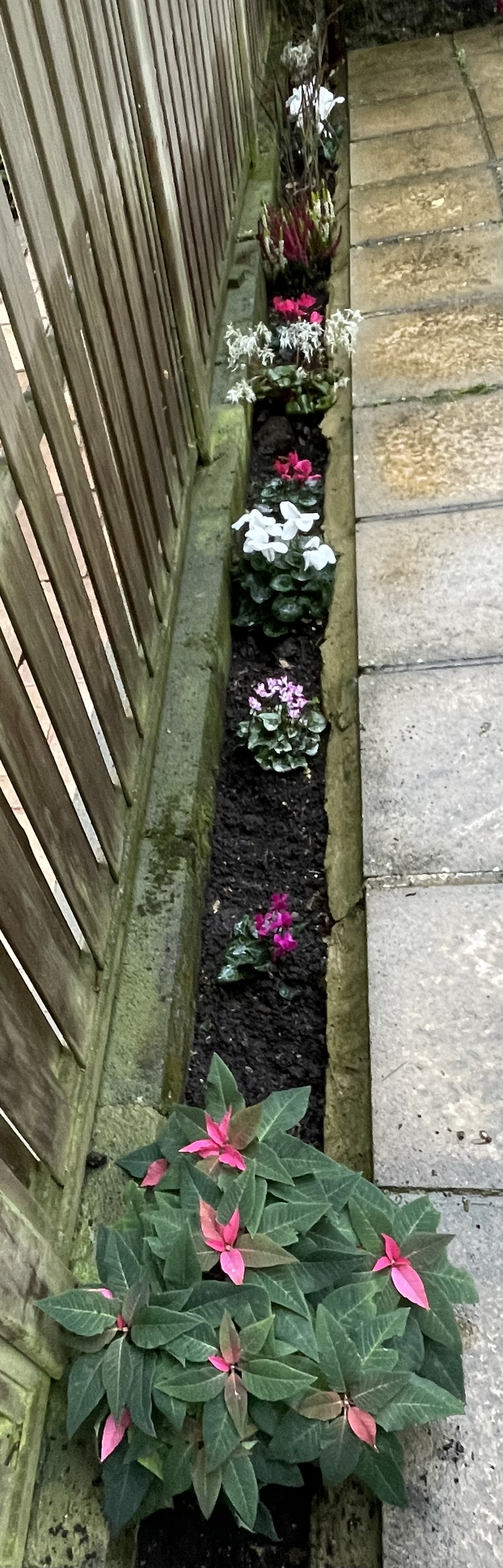 Botanica Garden Design's image