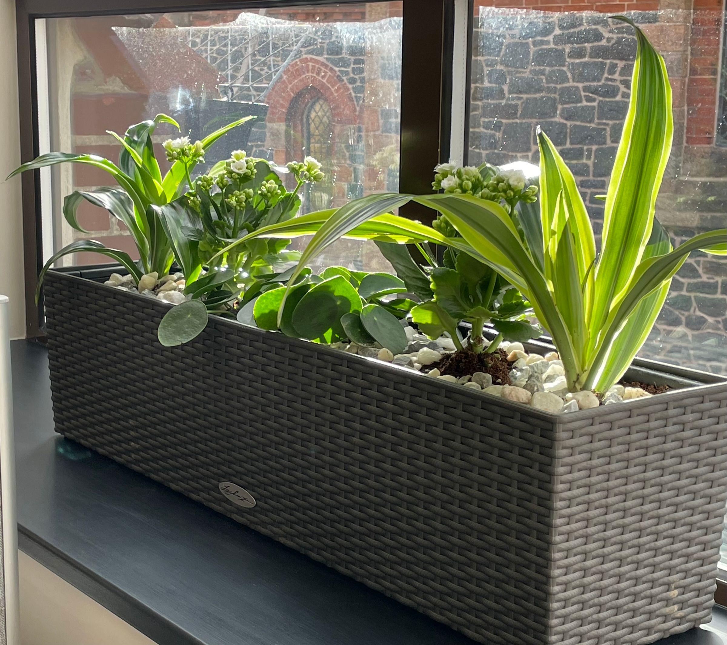 Botanica Garden Design's image