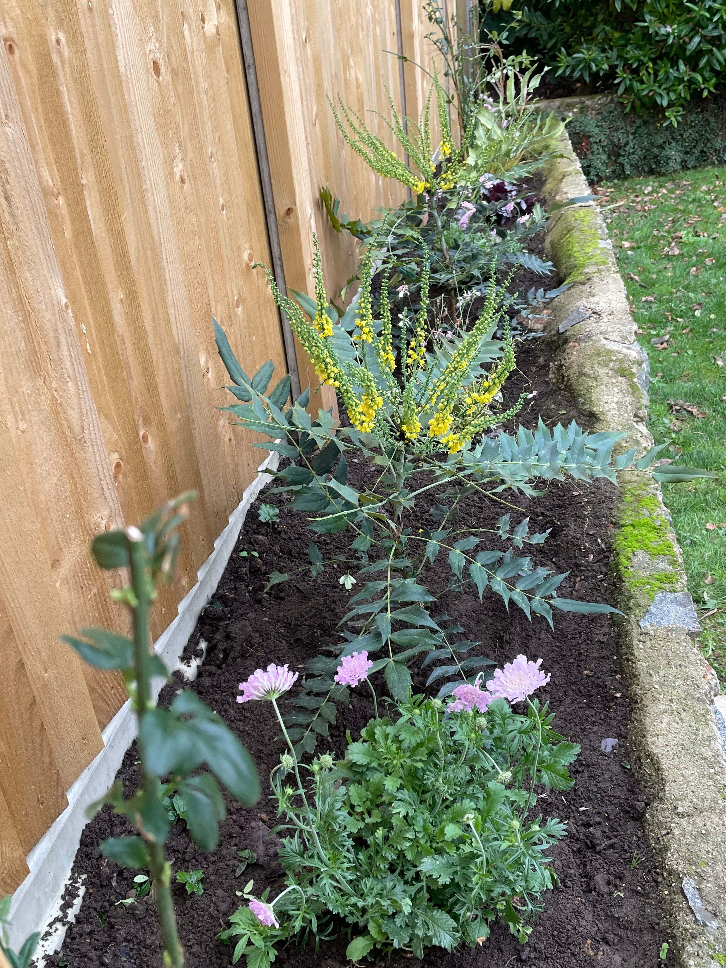 Botanica Garden Design's image