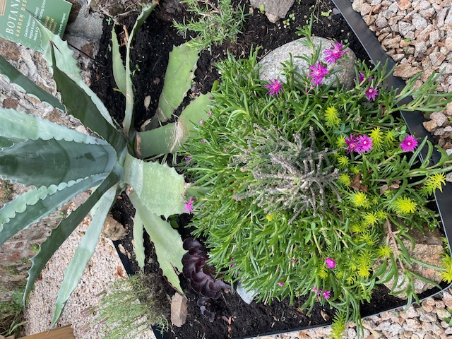 Botanica Garden Design's image