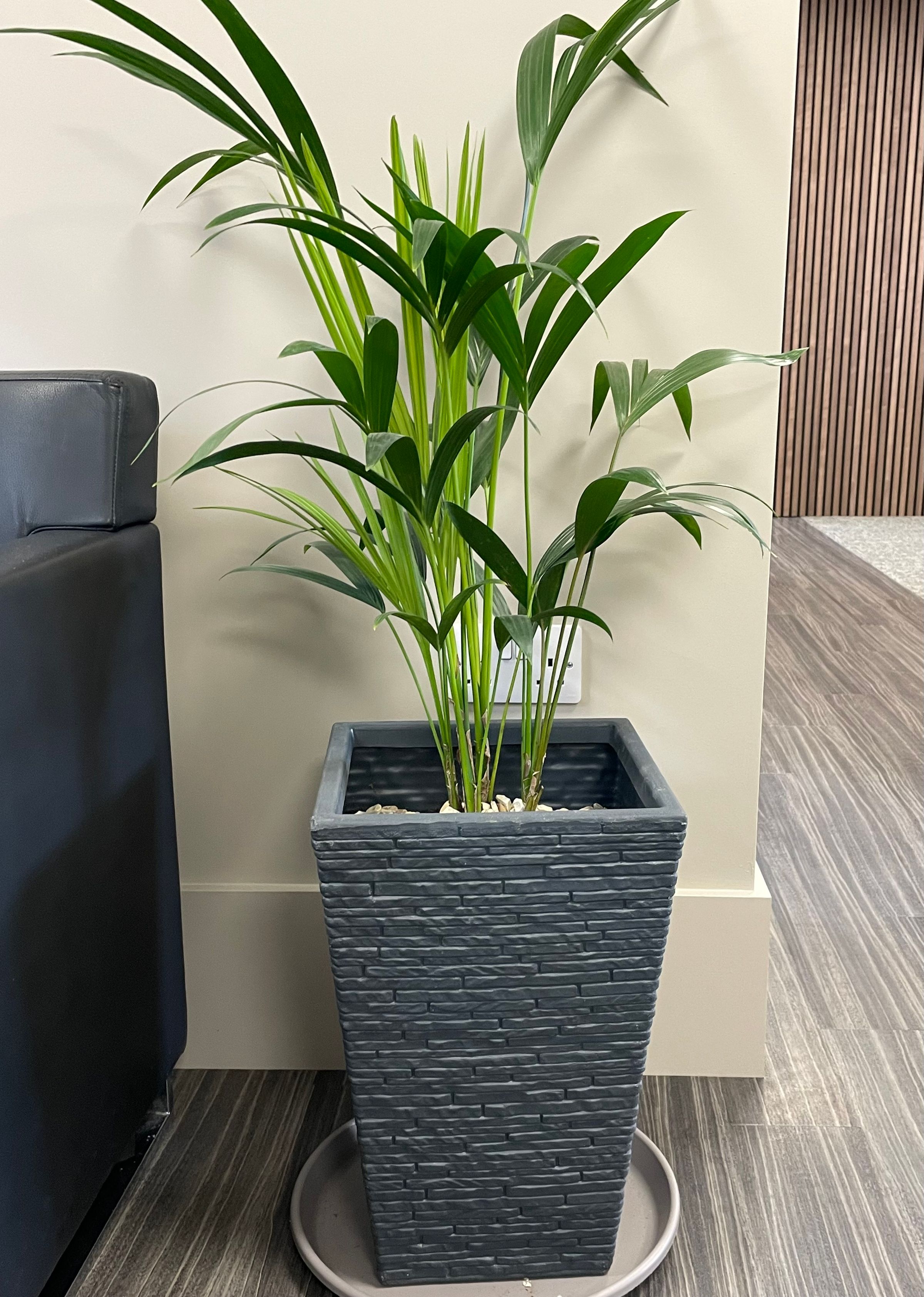 Botanica Garden Design's image