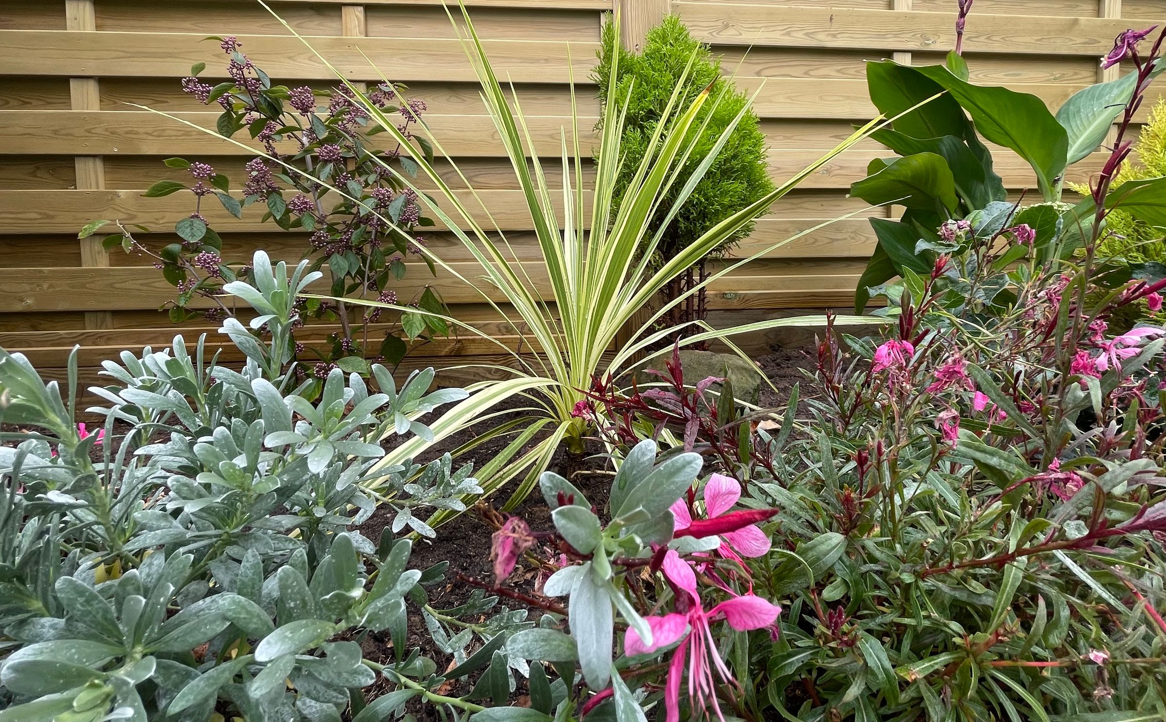 Botanica Garden Design's image