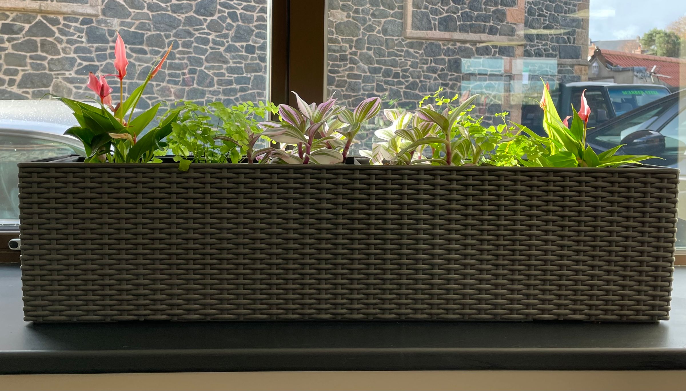 Botanica Garden Design's image