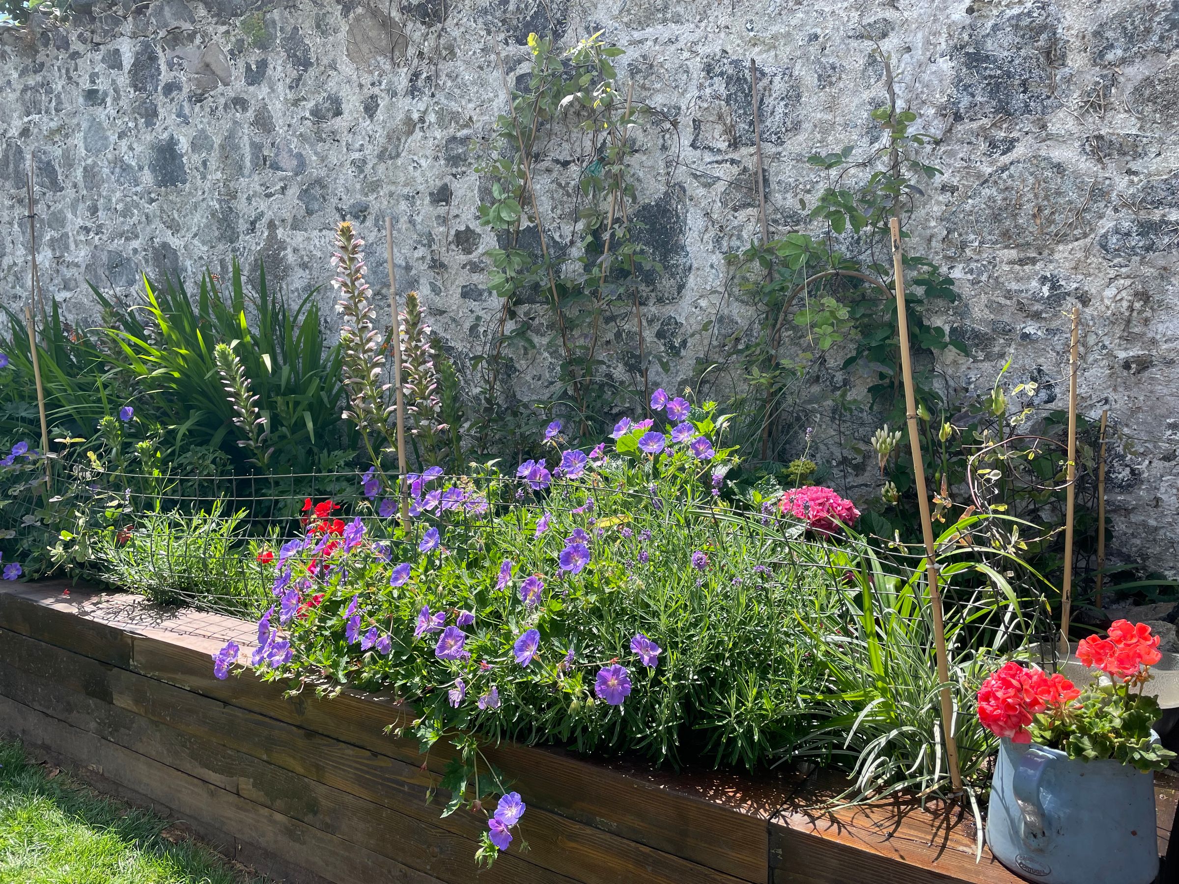 Botanica Garden Design's image