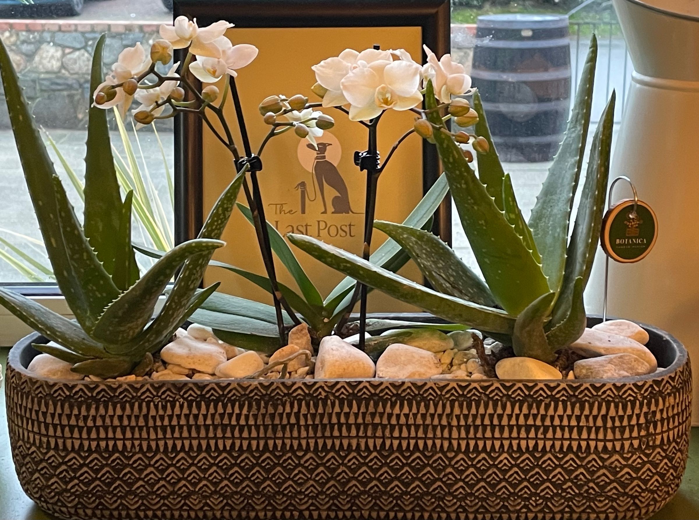 Botanica Garden Design's image