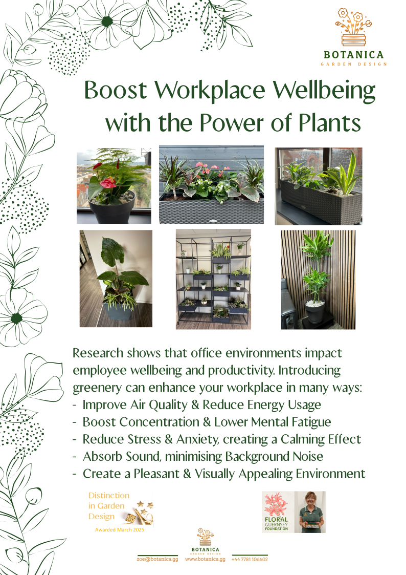 Botanica Garden Design's image