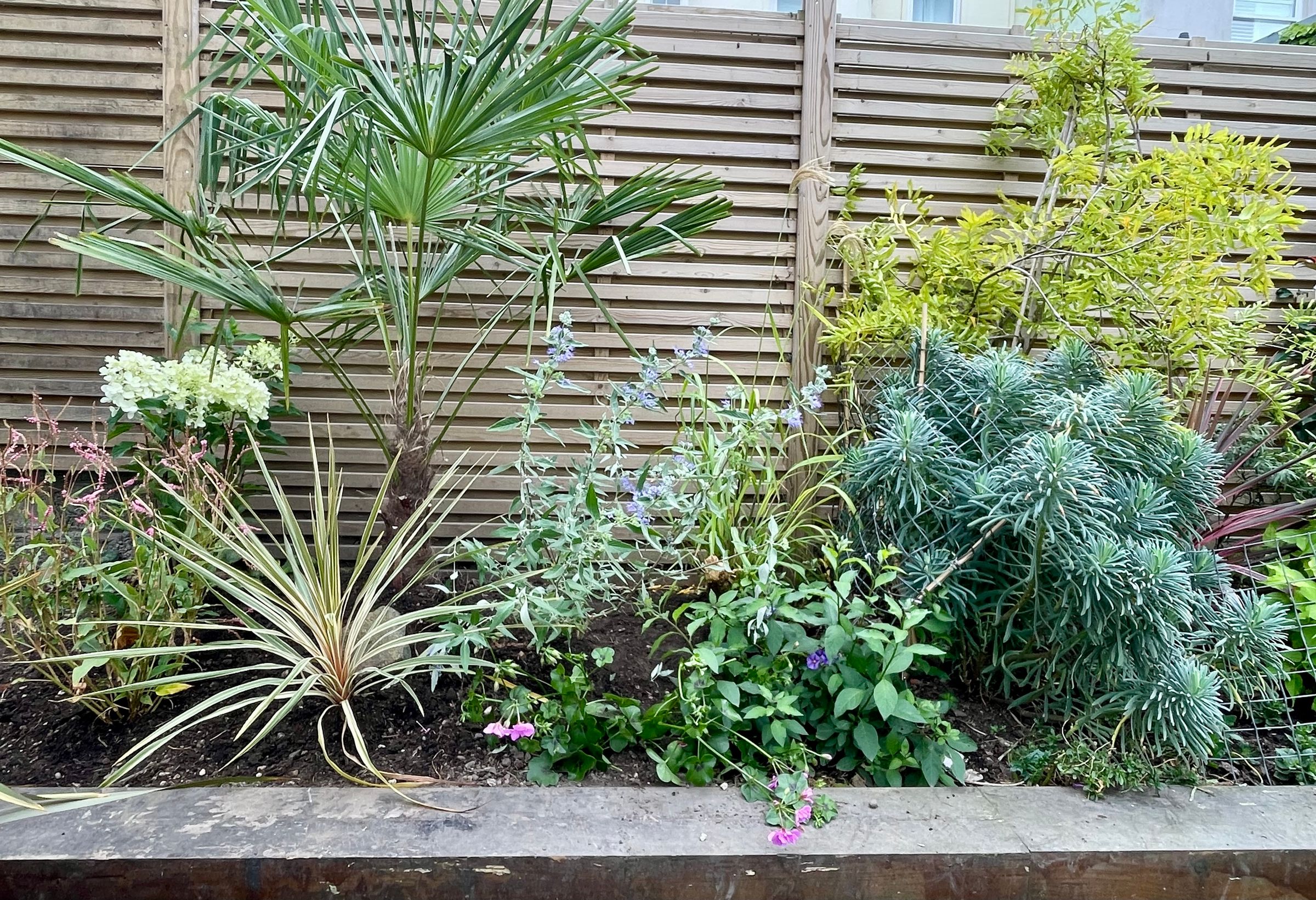 Botanica Garden Design's image