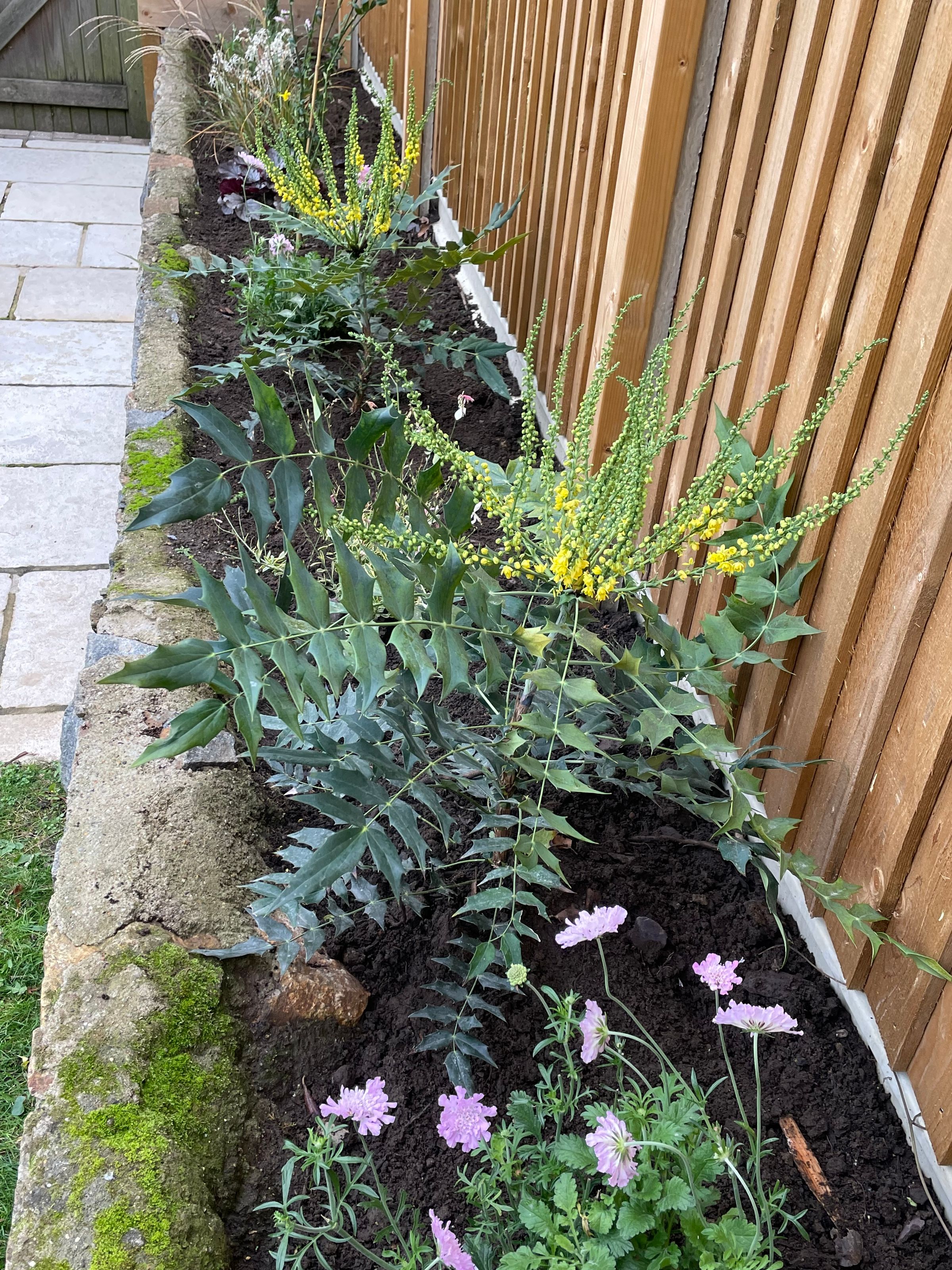 Botanica Garden Design's image