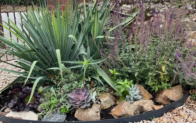 Botanica Garden Design's image