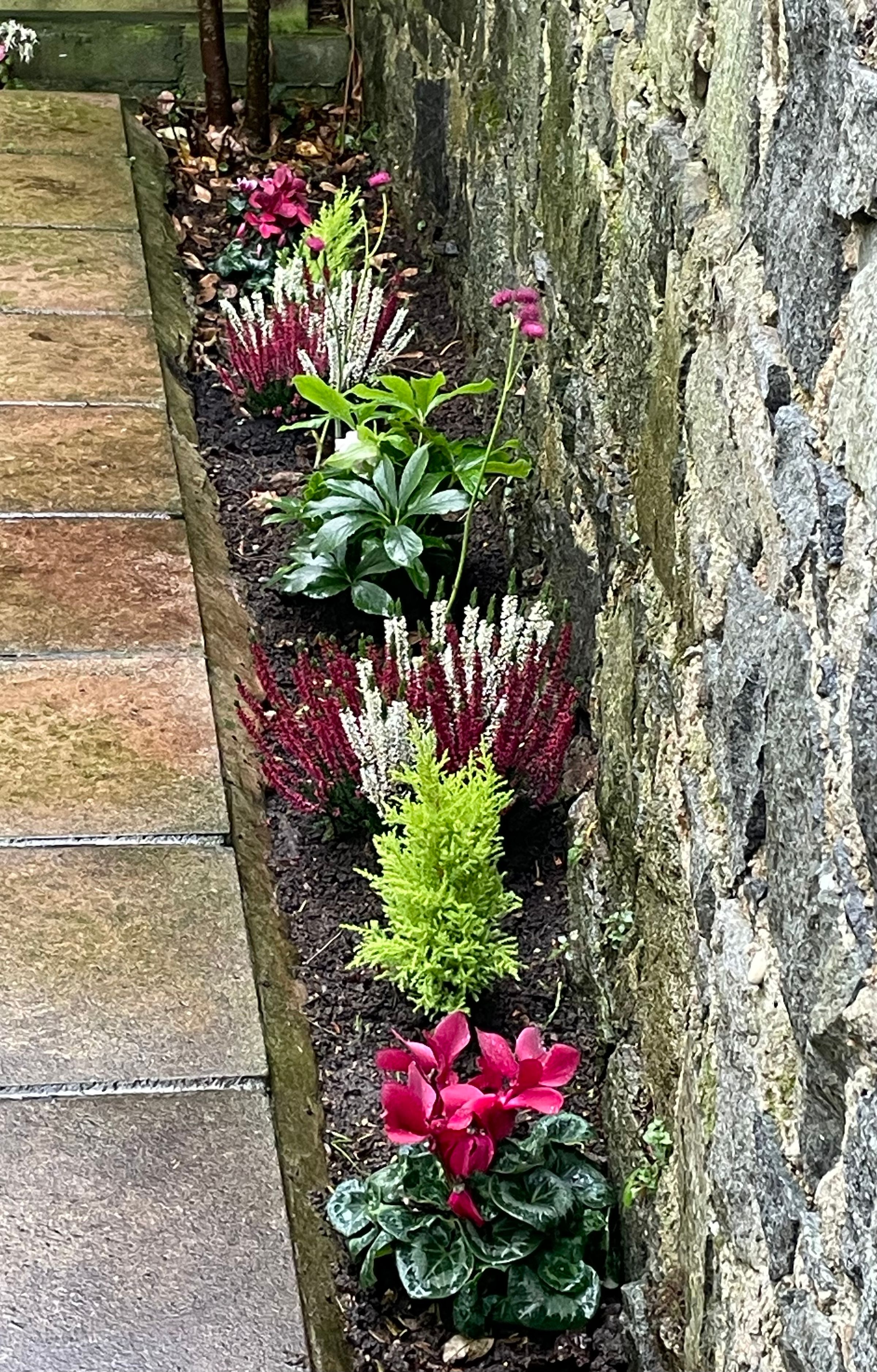 Botanica Garden Design's image