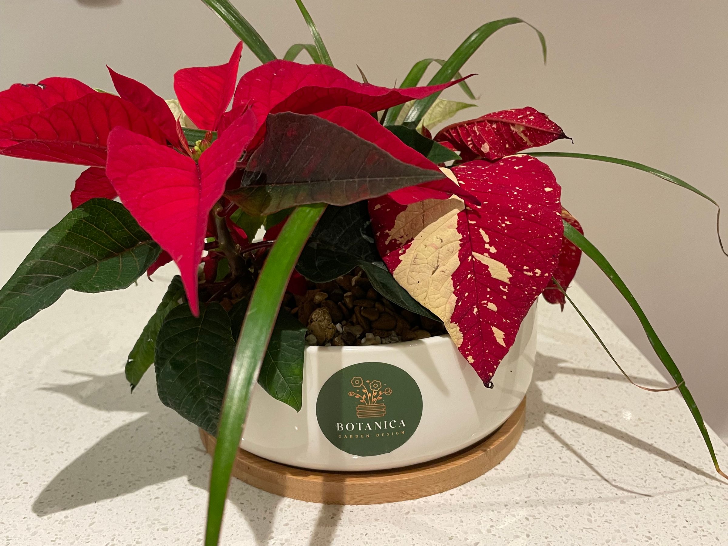 Botanica Garden Design's image