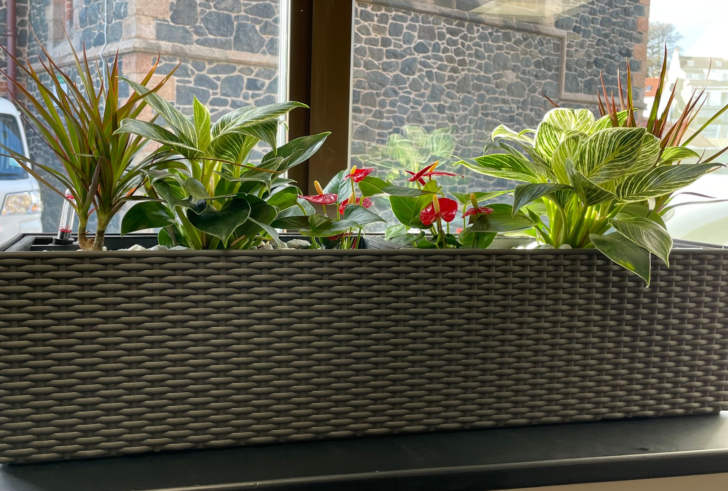 Botanica Garden Design's image