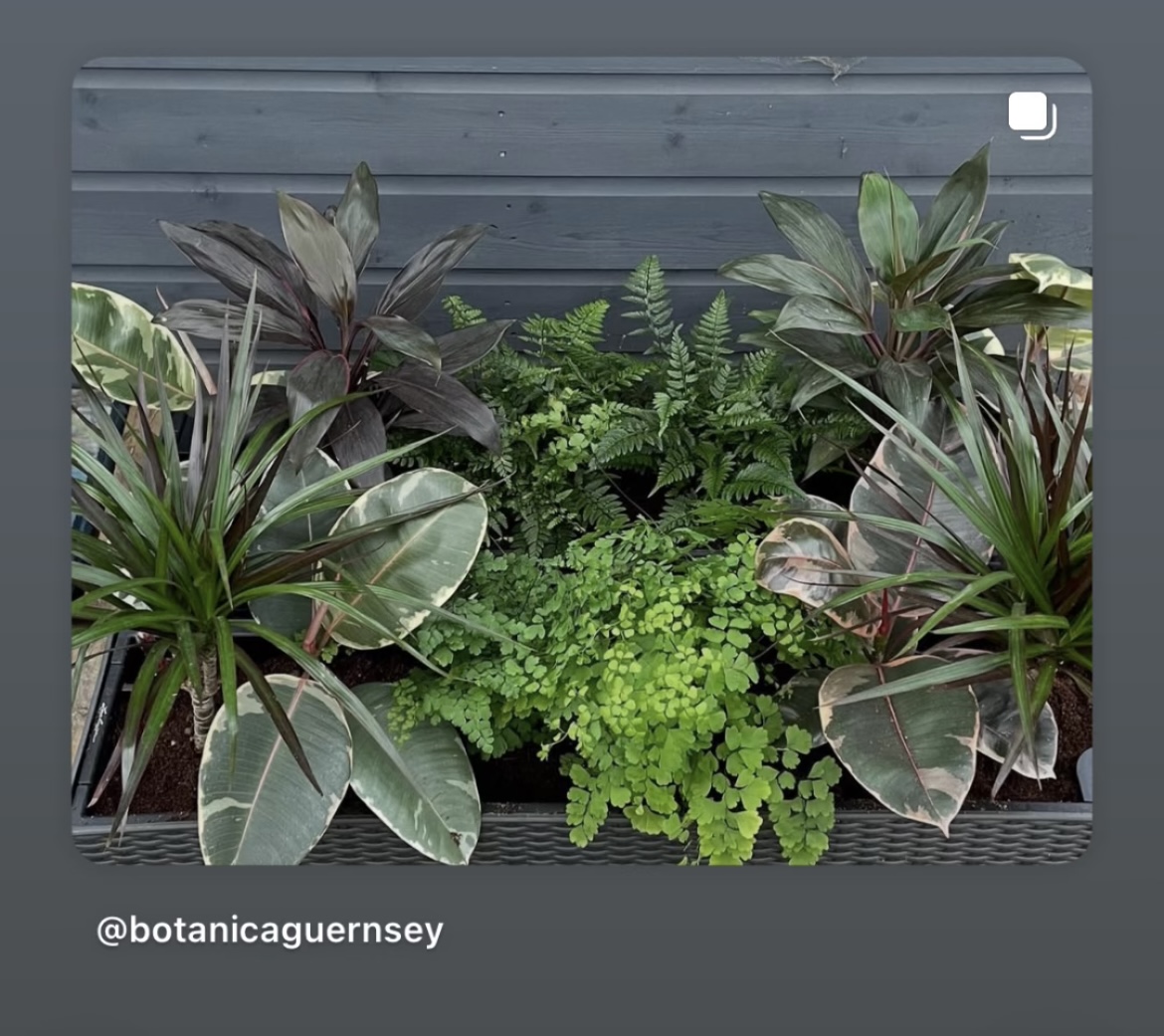 Botanica Garden Design's image