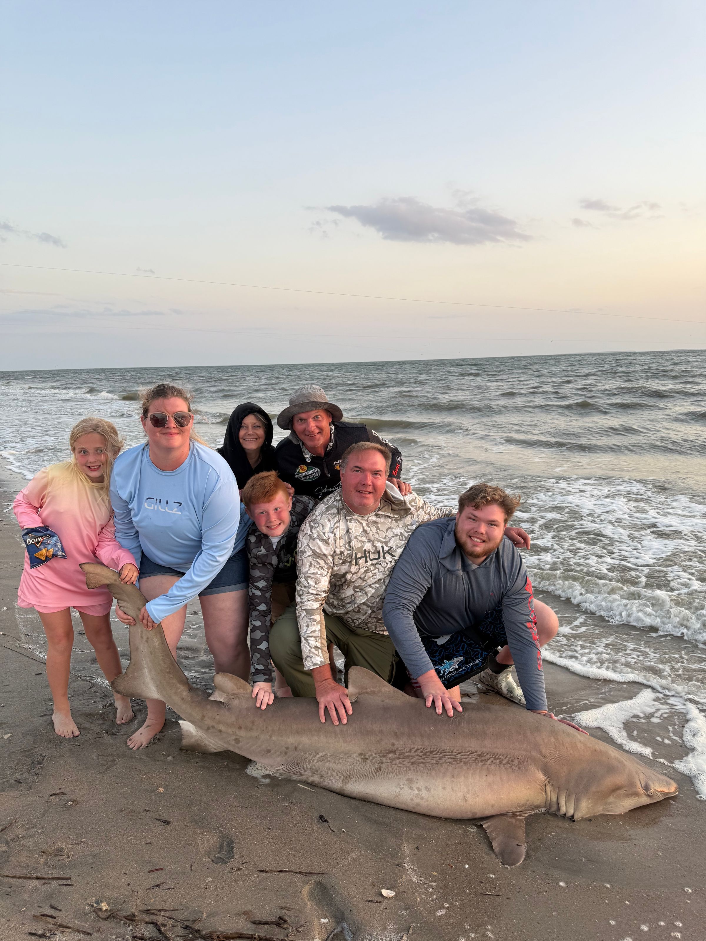 Shoreline Sharkin's image